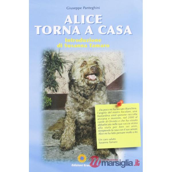 Alice torna a casa