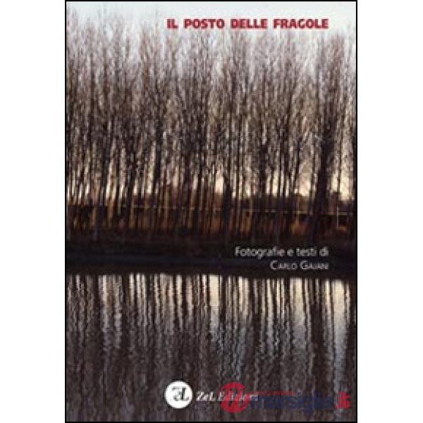 Posto delle fragole (Il)