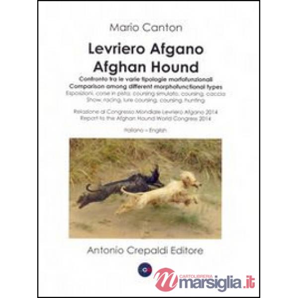 Levriero afgano. Confronto tra le varie tipologie morfofunzionali-Afghan hound. Comparison among different morphofuncional types
