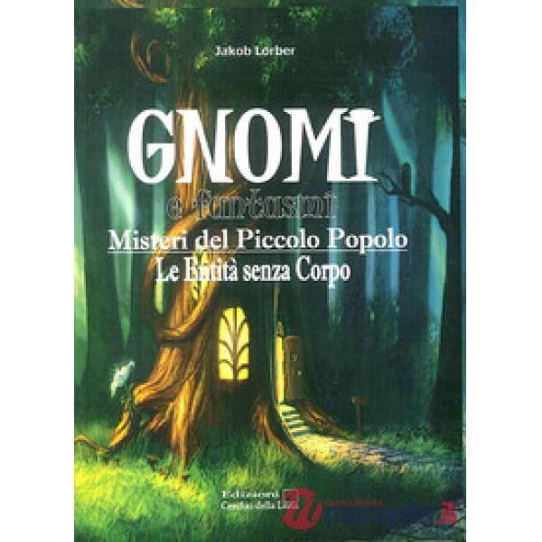Gnomi e fantasmi. Misteri del piccolo popolo. Le entità senza corpo