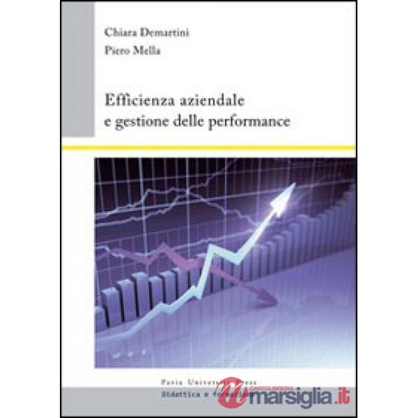 Efficienza aziendale e gestione delle performance