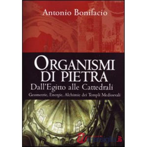Organismi di pietra. Dall'Egitto alle cattedrali. Geometrie, energie, alchimie dei templi medievali