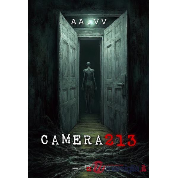 Camera 213