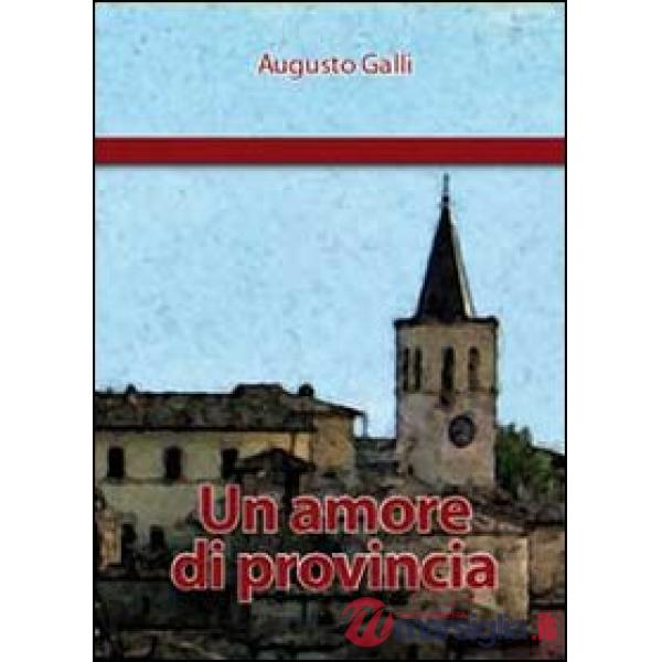 Amore di provincia (Un)