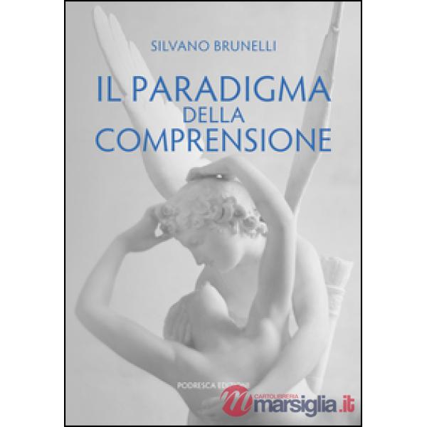 Paradigma della comprensione (Il)