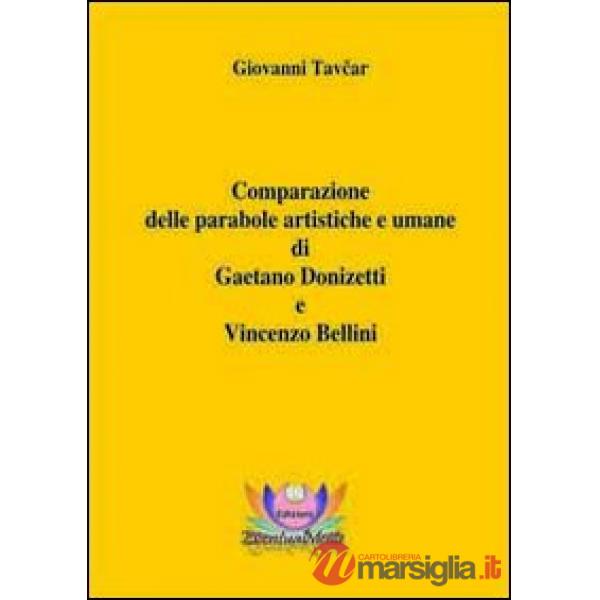 Comparazione delle parabole artistiche e umane di Gaetano Donizetti e Vincenzo B