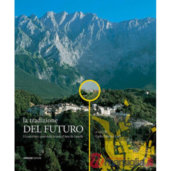 Tradizione del futuro. I centodieci anni della Scuola d'Arte di Castelli. Ediz. illustrata (La)