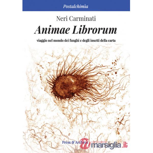 Animae librorum. Viaggio nel mondo dei funghi e degli insetti della carta