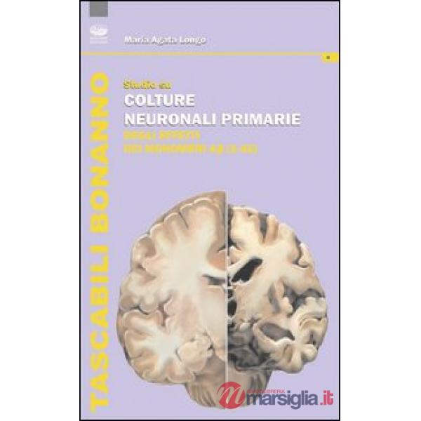 Studio su colture neuronali primarie degli effetti dei monomeri (1-42)
