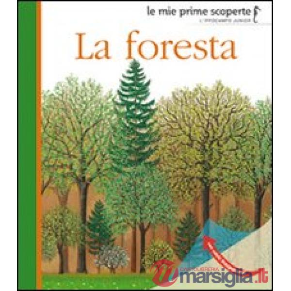 Foresta. Ediz. illustrata (La)
