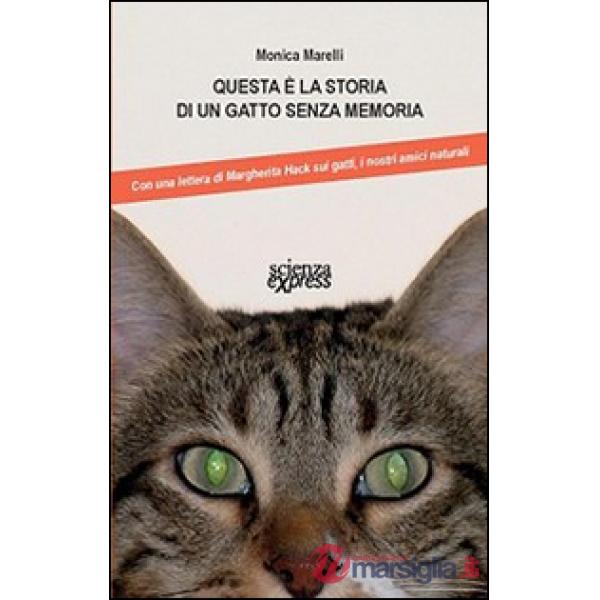 Questa è la storia di un gatto senza memoria