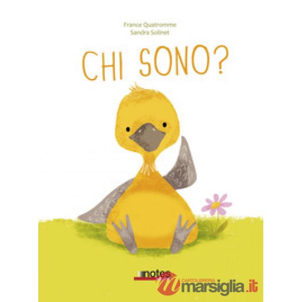Chi sono?