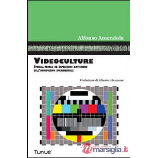 Videoculture. Storia, teorie ed esperienze artistiche dell'audiovisivo speriment