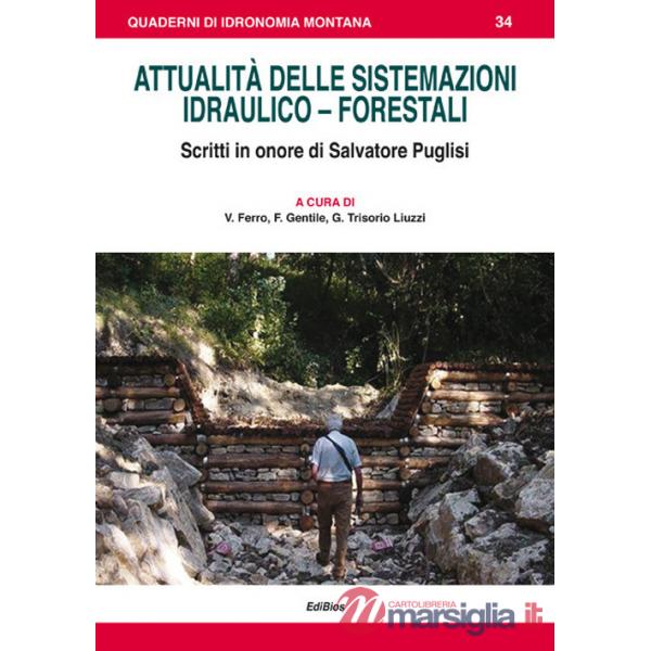 Attualità delle sistemazioni idraulico-forestali. Scritti in onore di Salvatore Puglisi