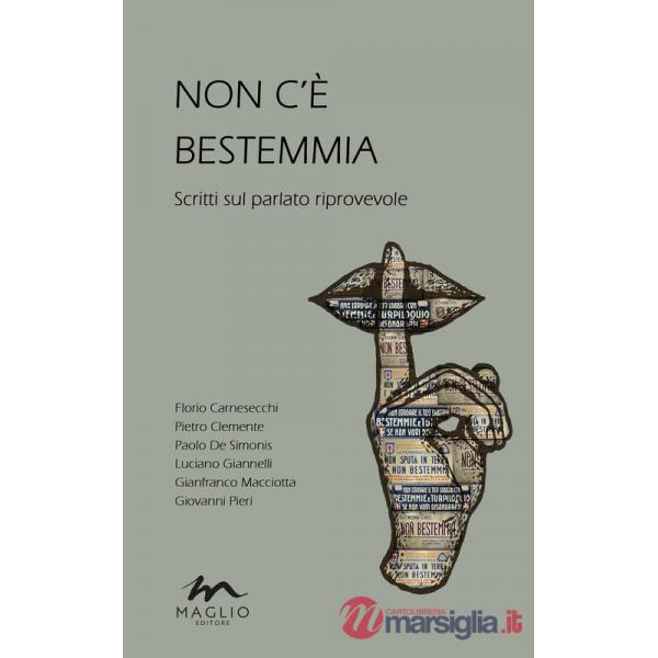 Non c'è bestemmia. Scritti sul parlato riprovevole