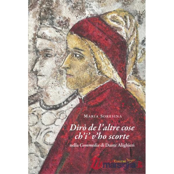 Dirò de l'altre cose ch'i' v'ho scorte nella Commedia di Dante Alighieri