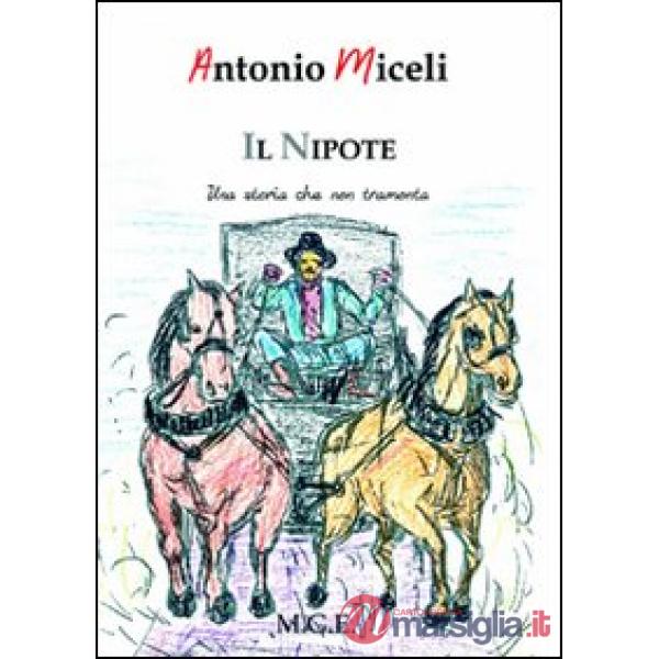 Nipote. Una storia che non tramonta (Il)