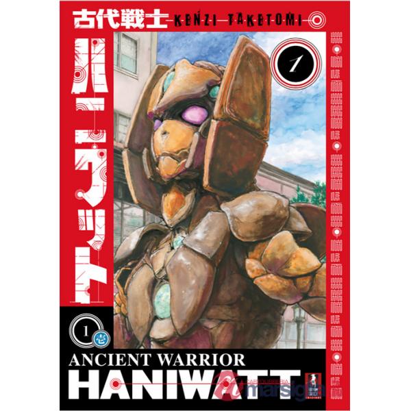 Ancient warrior haniwatt