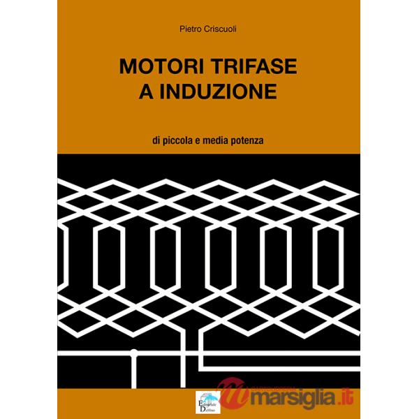 Motori trifase e induzione. Di piccola e media potenza