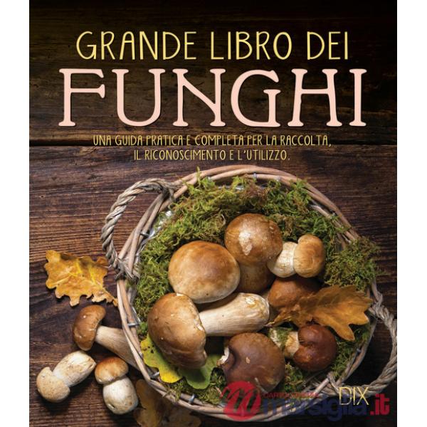 Grande libro dei funghi. Una guida pratica e completa per la raccolta, il riconoscimento e l'utilizzo