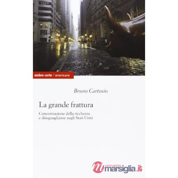 Grande frattura. Concentrazione della ricchezza e disuguaglianze sociali negli S
