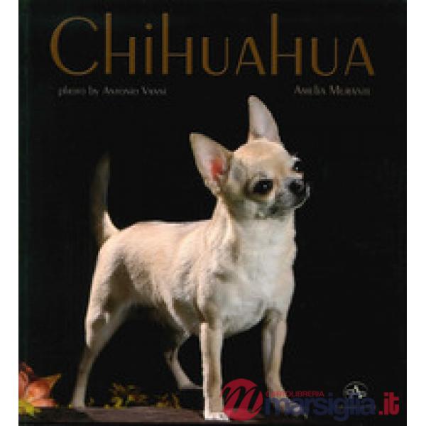 Chihuahua