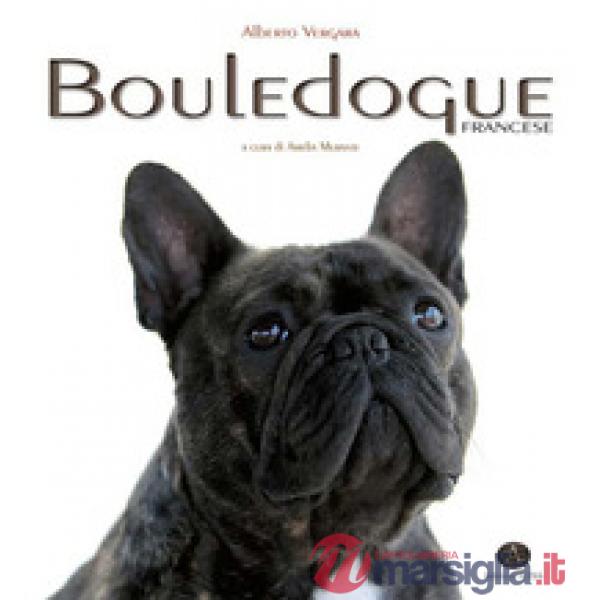 Bouledogue francese