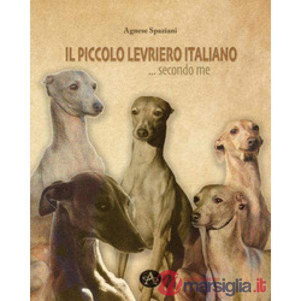 Piccolo levriero italiano... secondo me (Il)