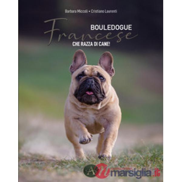 Bouledogue francese. Che razza di cane!