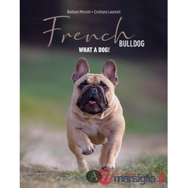French bulldog. Passion, knowledge, and life shared with an extraordinary dog