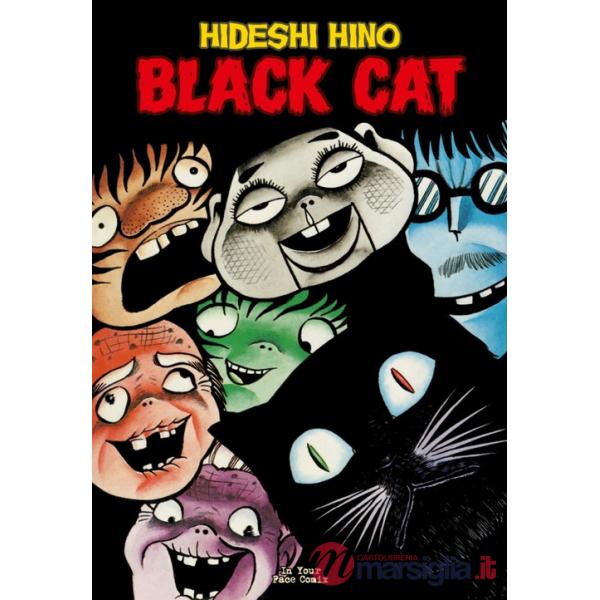 Black cat