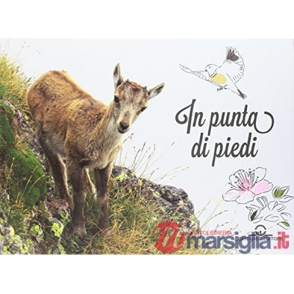 In punta di piedi