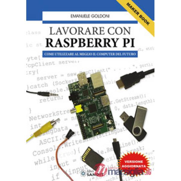 Lavorare con Raspberry Pi. Come utilizzare al meglio il computer del futuro