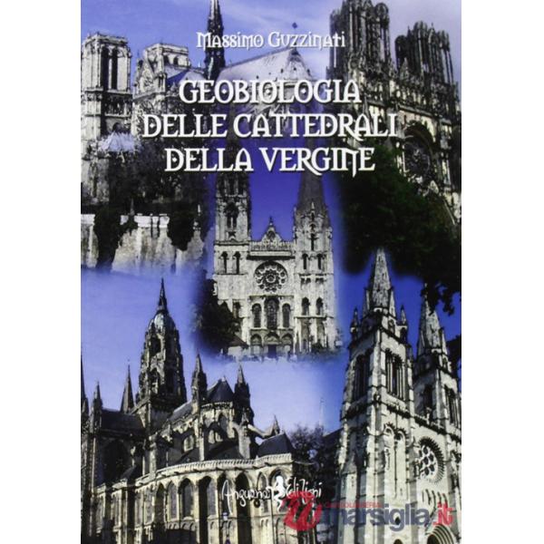 Geobiologia delle cattedrali della vergine