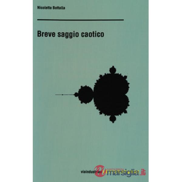 Breve saggio caotico