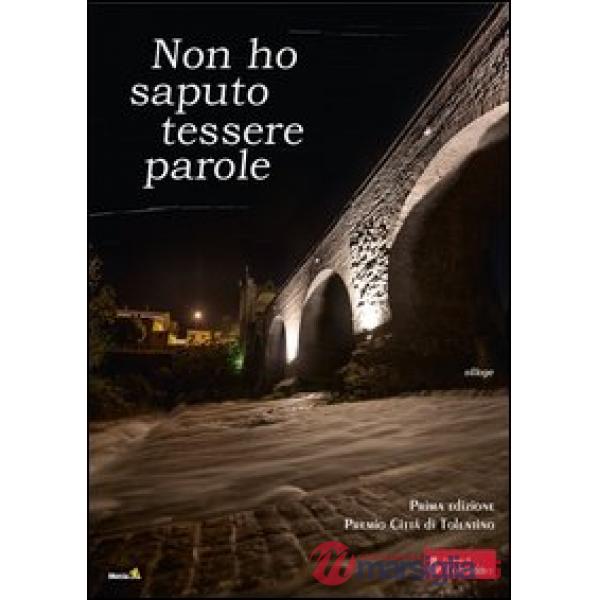 Non ho saputo tessere parole