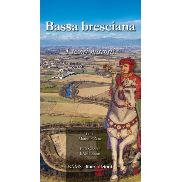 Bassa bresciana. I tesori nascosti. Ediz. a colori