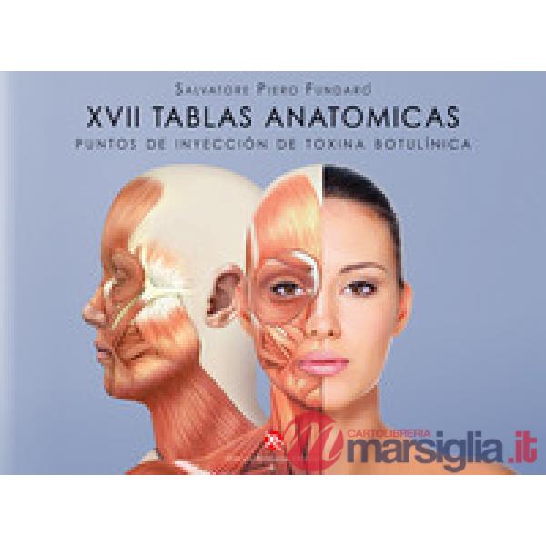 17 tablas anatomicas. Puntos de inyección de toxina botulínica