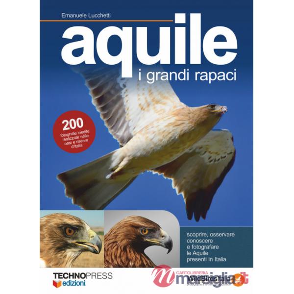 Aquile. I grandi rapaci