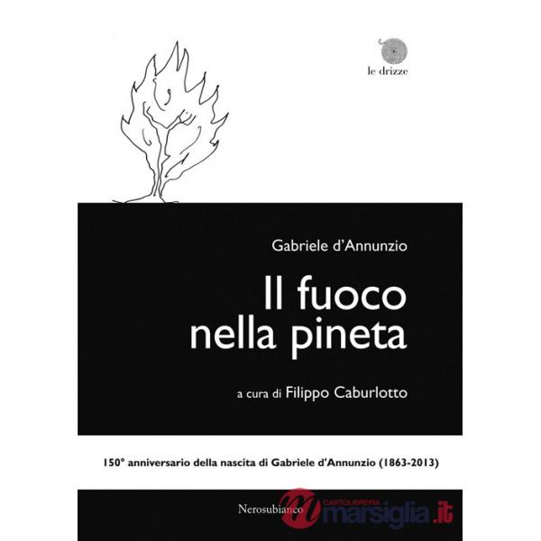 Fuoco nella pineta (Il)