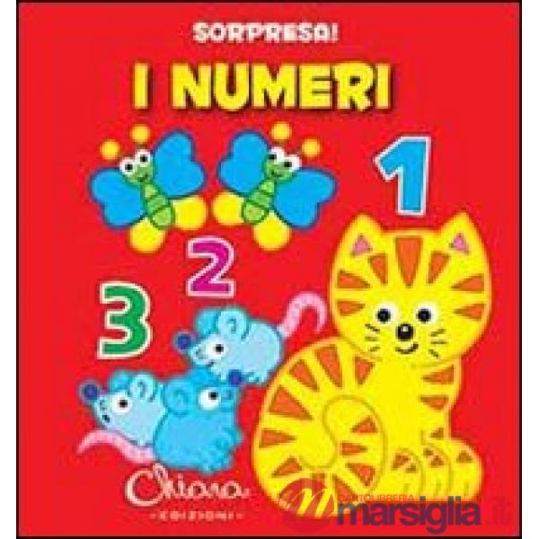 Numeri. Sorpresa! Ediz. illustrata (I)