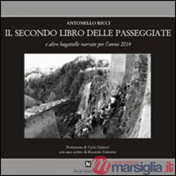 Secondo libro delle passaggiate e altre bagattelle narrate per l'anno 2014 (Il)
