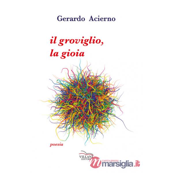 Groviglio, la gioia (Il)
