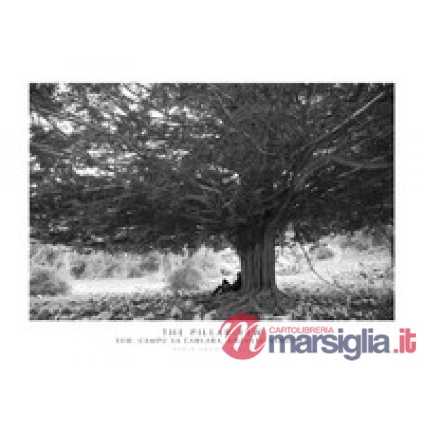 Pillar-Yew. Yew, Campu Sa Carcara, Urzulei, Sardinia. Ediz. italiana e inglese. Con stampa Fine Art (The)