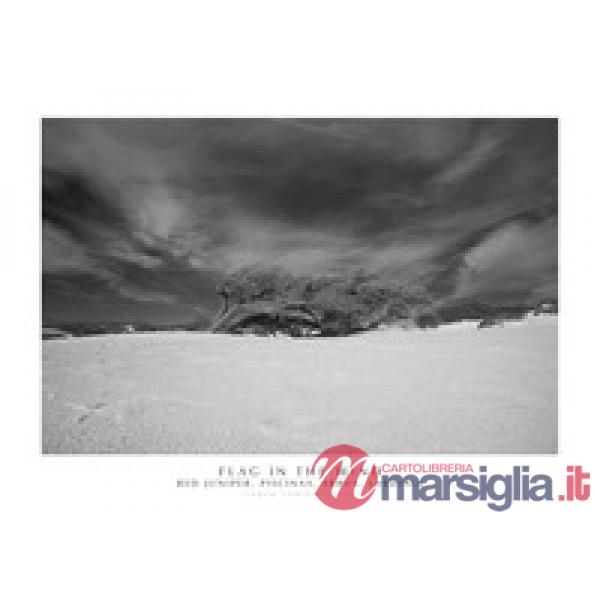 Flag in the wind. Red Juniper, Piscinas, Arbus, Sardinia. Ediz. italiana e inglese. Con stampa Fine Art