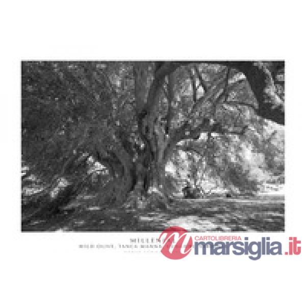 Millenial. Wild olive, Tanca Manna, Cuglieri, Sardinia. Ediz. italiana e inglese. Con stampa Fine Art