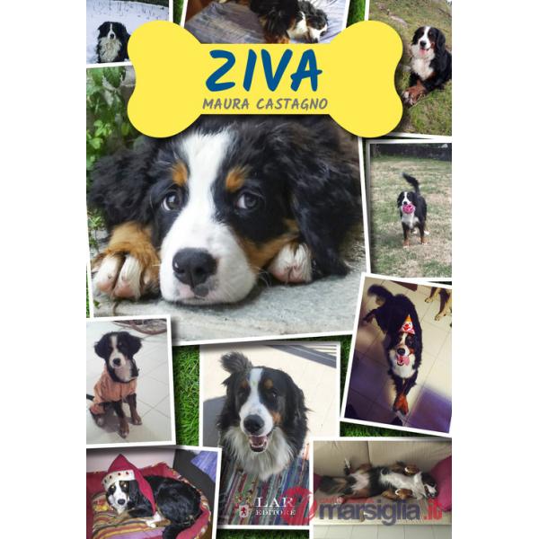 Ziva