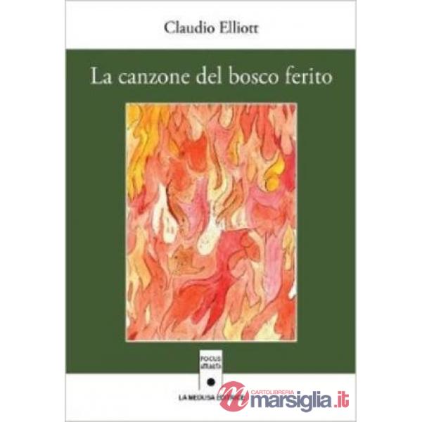 CANZONE DEL BOSCO FERITO (LA)