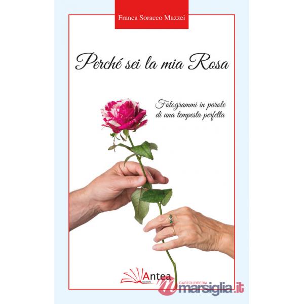 Perché sei la mia Rosa. Fotogrammi in parole di una tempesta perfetta