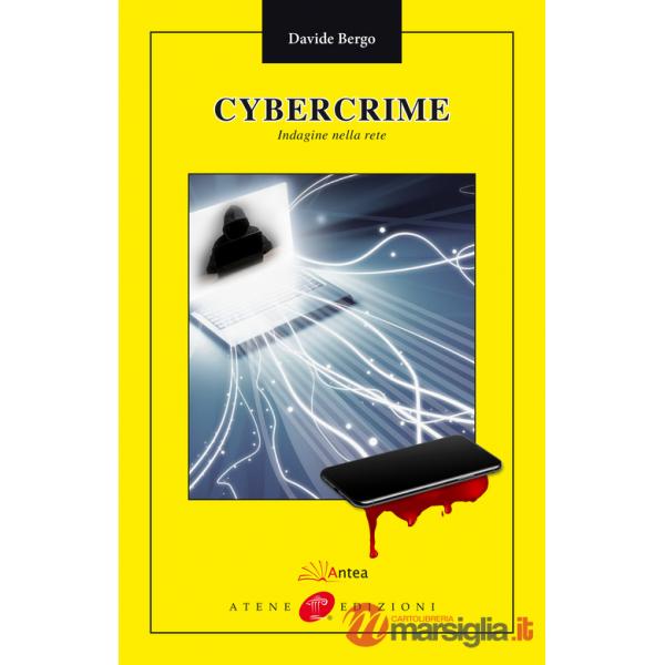 Cybercrime. Indagine nella rete